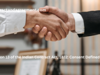 Section 13 of the Indian Contract Act, 1872 Consent Defined